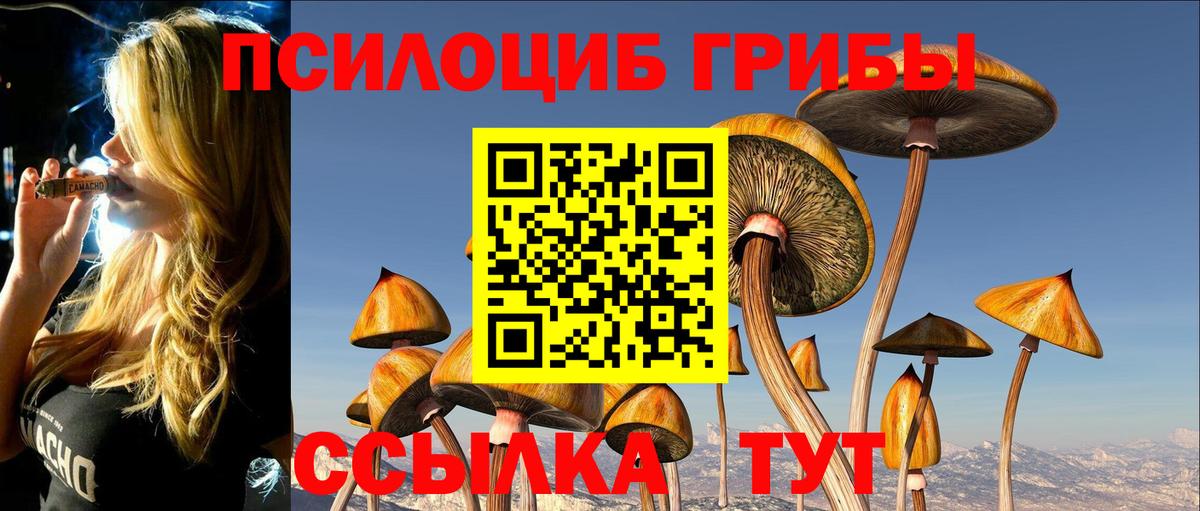 Псилоцибиновые грибы MAGIC MUSHROOMS  Псилоцибиновые грибы мухоморы  Вход с VPN  где продают   Ухта 