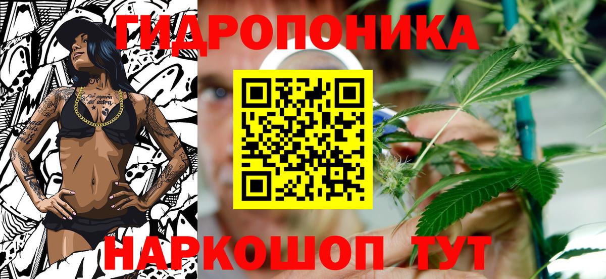 Ухта  Марихуана тримм  Вход с VPN  Шишки марихуана Bruce Banner  Марихуана тримм 